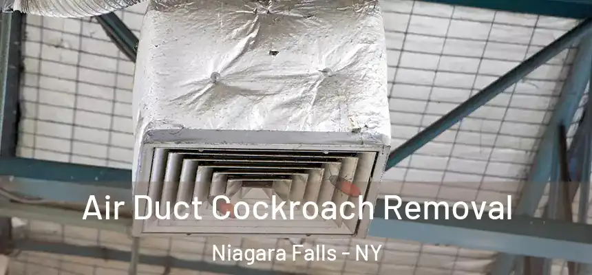 Air Duct Cockroach Removal Niagara Falls - NY