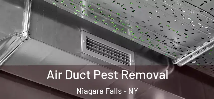 Air Duct Pest Removal Niagara Falls - NY
