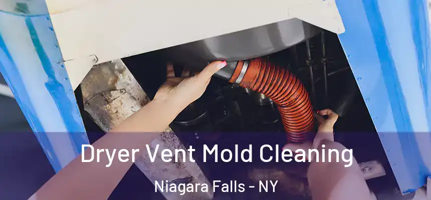 Dryer Vent Mold Cleaning Niagara Falls - NY