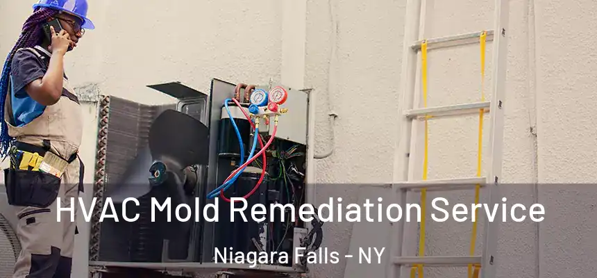 HVAC Mold Remediation Service Niagara Falls - NY