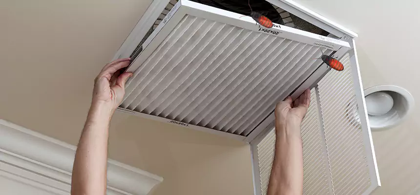 Preventive Cockroach-Proofing for Ducts in Niagara Falls