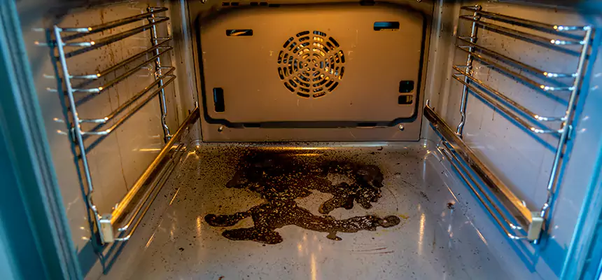 Our Dryer Vent Mold Cleaning Services in Niagara Falls, NY