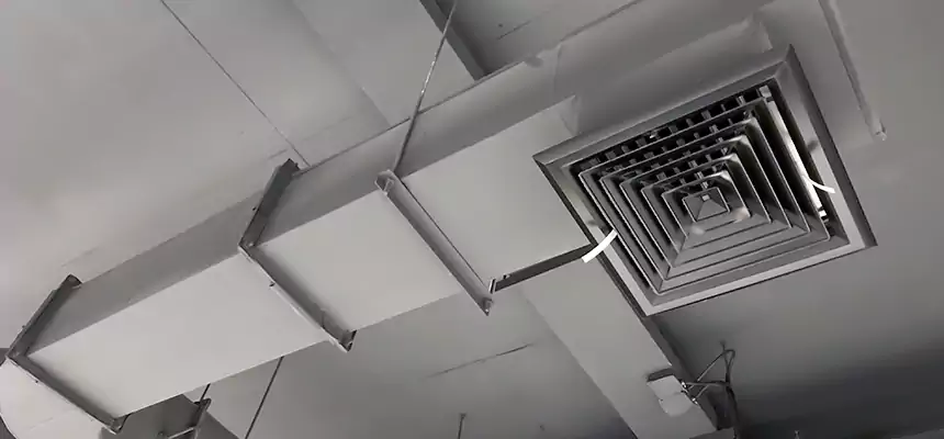 Our Pest Removal From Ducts Services in Niagara Falls, NY