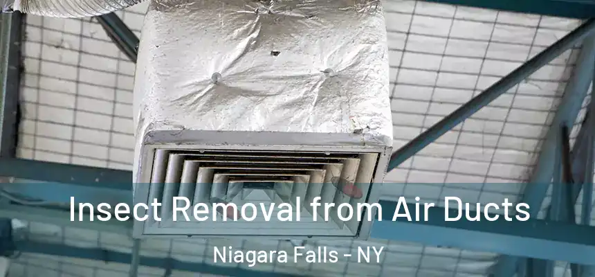  Insect Removal from Air Ducts Niagara Falls - NY