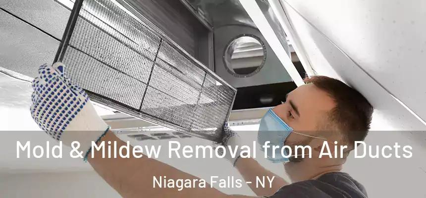 Mold & Mildew Removal from Air Ducts Niagara Falls - NY