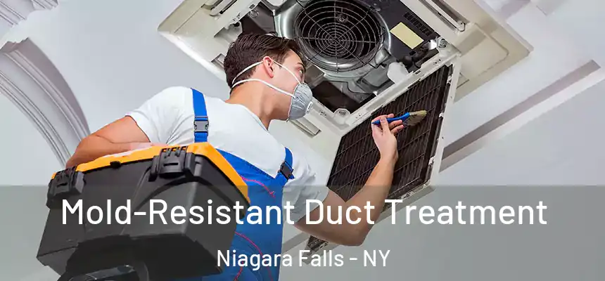  Mold-Resistant Duct Treatment Niagara Falls - NY