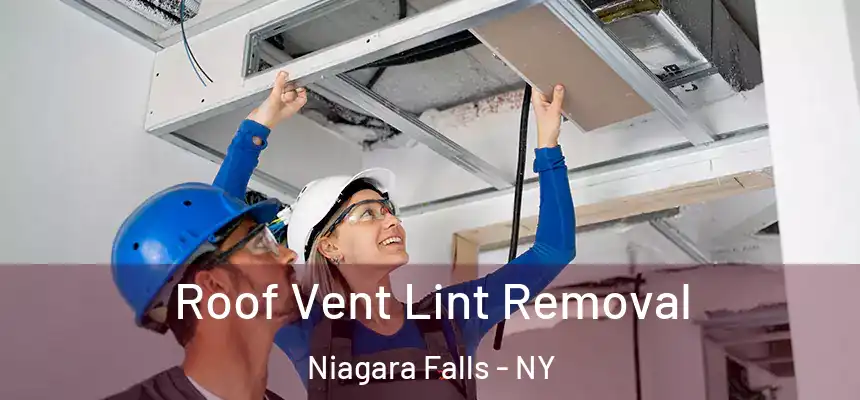 Roof Vent Lint Removal Niagara Falls - NY