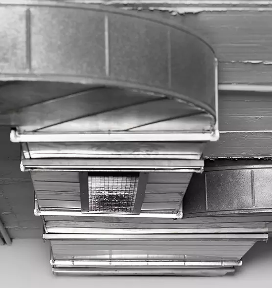 Professional Air Duct Pest Removal in Niagara Falls, NY