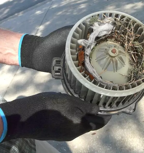 About Air Duct Rat Removal in Niagara Falls, NY