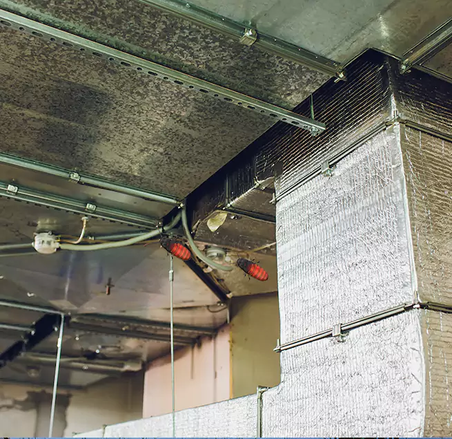 Why Homeowners & Businesses Trust Us in Niagara Falls, NY?