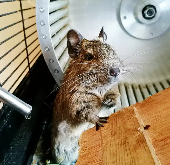 Why Homeowners & Businesses Trust Us Niagara Falls, NY?